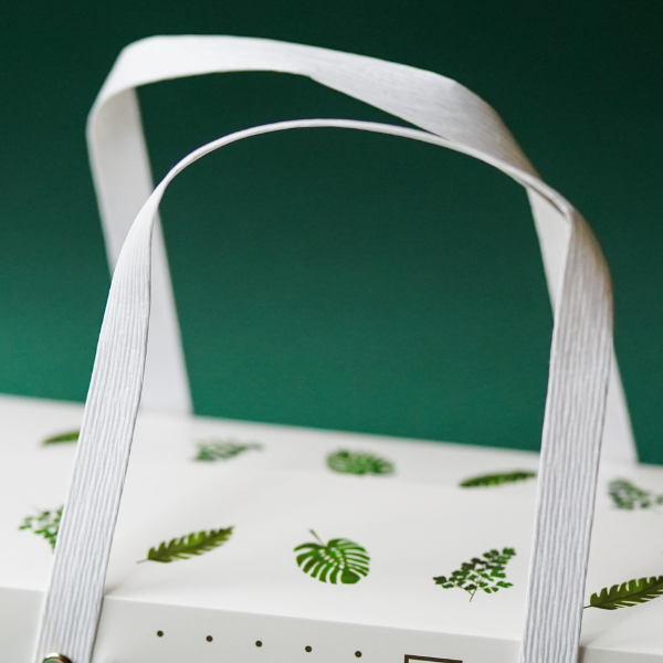 leaves printed on a box with handles