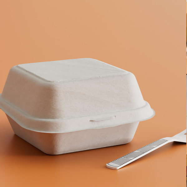 bagasse takeout container and fork