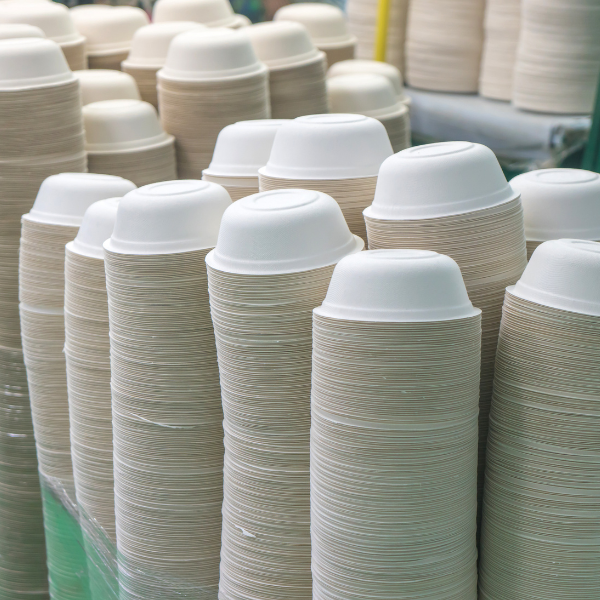 bagasse bowls