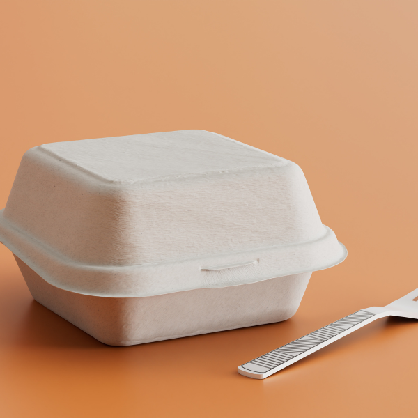 bagasse packaging box