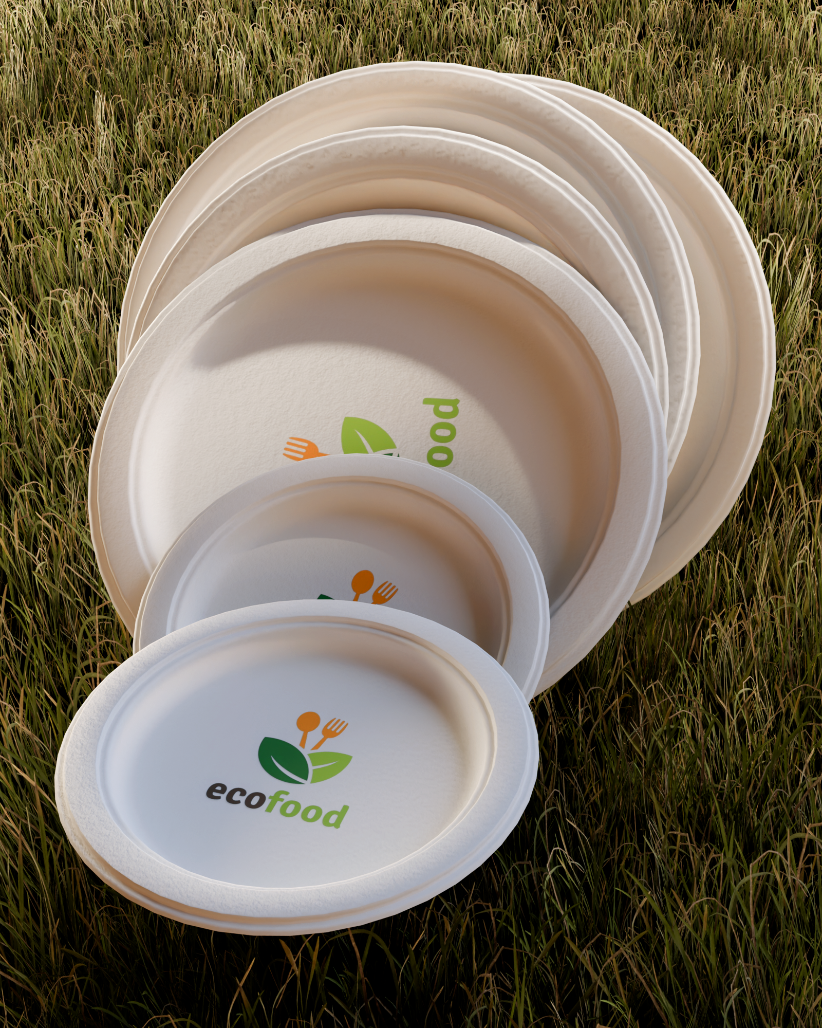 Custom Paper Plates